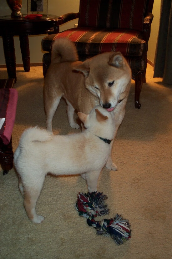 九游网-_魔术逆转精彩上演，士气高涨_，魔术逆正位代表什么意思