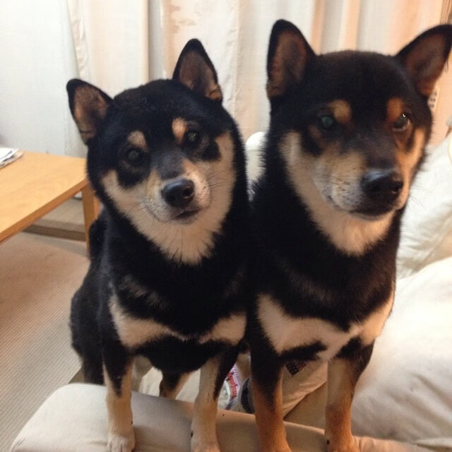 九游下载安装-【新规影响分析】比赛节奏加快后球队战术如何变革？，球队比赛规则